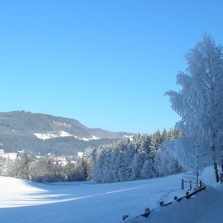 Ferienwohnungen Seifterhof Sankt Andrä im Lungau Εξωτερικό φωτογραφία